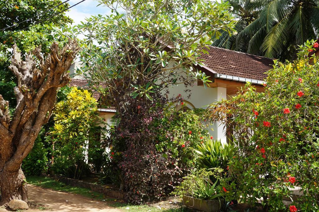 Tandem Guesthouse Hikkaduwa Exteriör bild
